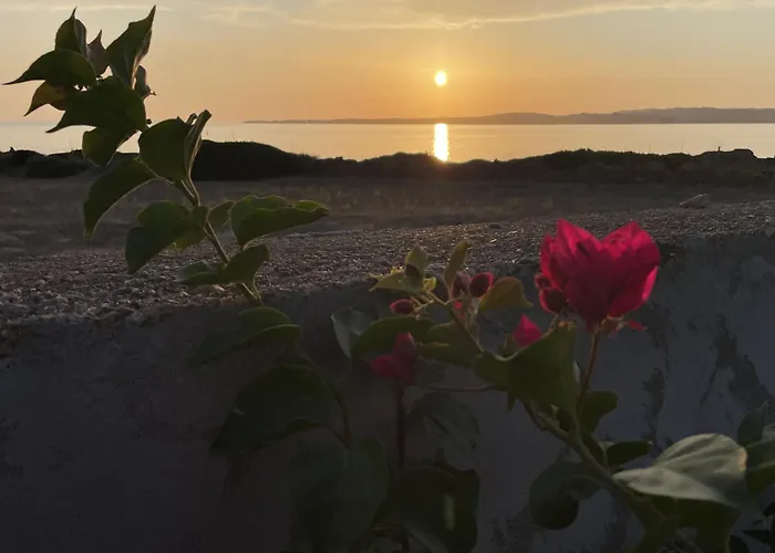 Tatil Evi Salina